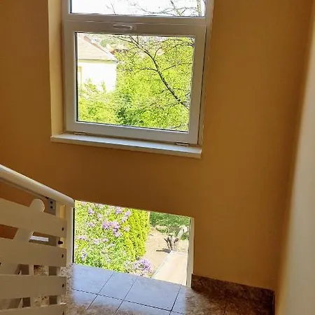 Smiljanic App 3 * Soko Banja