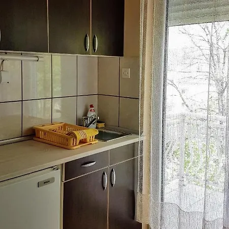 Smiljanic App 3 Apartment Soko Banja